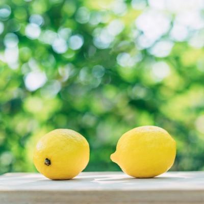 暗黑战歌无限金币破解版下载
