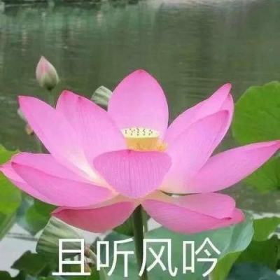 敢达争锋对决腾讯版手游下载